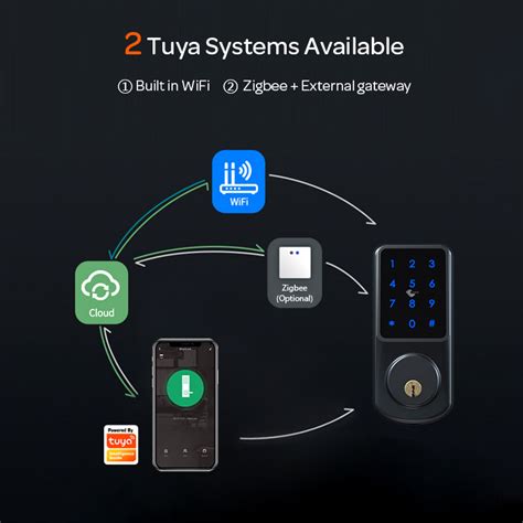 Tediton Cerraduras Wifi Remote Control Door Handle Tuya Smart Keyless