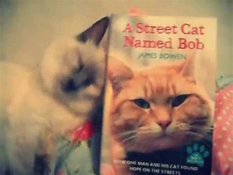 A street cat named bob book. my cat loves james bowens book a street cat named bob ...