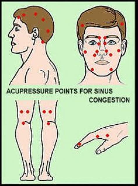 Acupressure Points For Sinus Congestions Which Can Cause Sinus