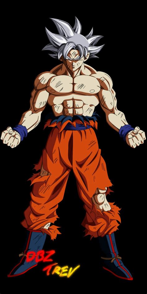 Goku Mastered Ultra Instinct Dragon Ball Super Goku Dragon Ball