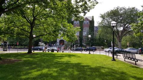 University of Michigan Museum of Art (Ann Arbor) - 2021 All You Need to