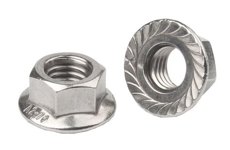 Din6923 18 8 Stainless Steel Serrated Flange Locknuts Hexagon Nuts With
