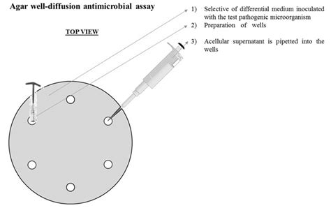 Agar Well Diffusion Antimicrobial Assay Download Scientific Diagram