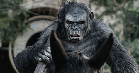 Der krieg, den koba mit den von der seuche stark dezimierten menschen angezettelt hat, ist in vollem gange. Planet der Affen - Revolution: Der Mensch im Affen oder ...