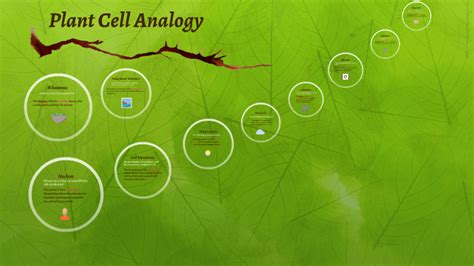 Animal cell analogy magdalene project org. Plant Cell Analogy by Akshan Dhukka