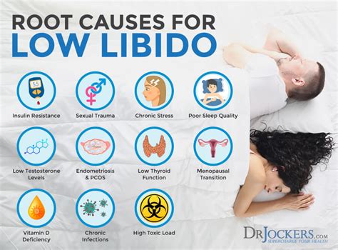 Low Libido Symptoms Causes And Support Strategies DrJockers Com