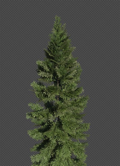 F7 Design Realistic Low Poly Pine Trees