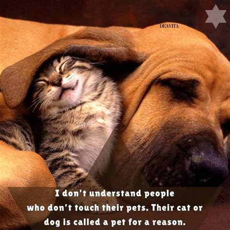 Pet Quotes Love And Friendship Sayings Cats Dogs Funny Pets Quotes