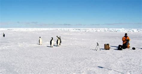 Global Warming Causing Antarctic Ice To Expand