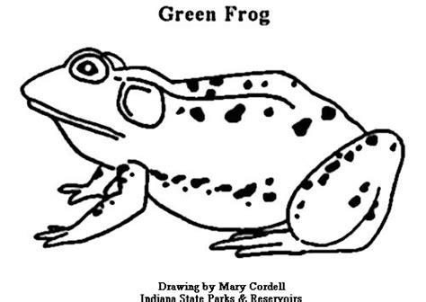 Ya'll seem to love our hidden picture printables, and who can blame you! DNR: Coloring Pages - Animals