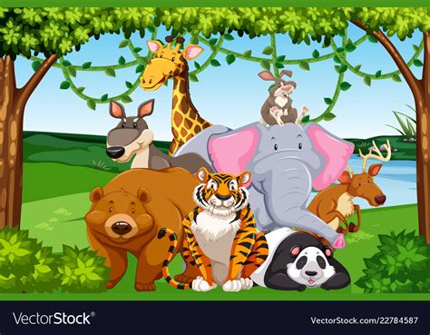 Wild Animals In The Forest Royalty Free Vector Image