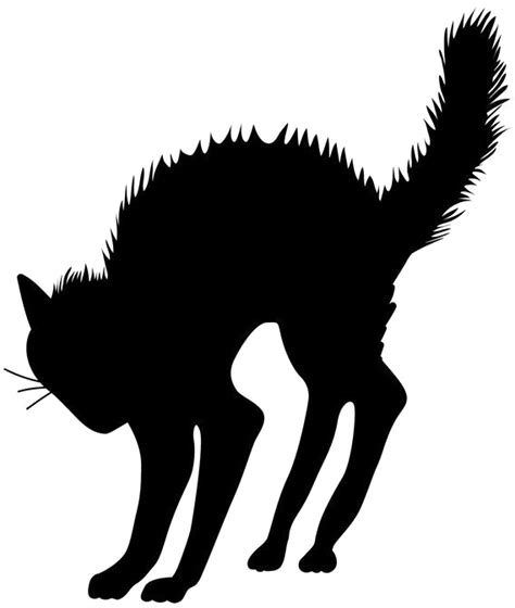 Black Cat Silhouette Black Cat Silhouette Png Transparent Png 640x480
