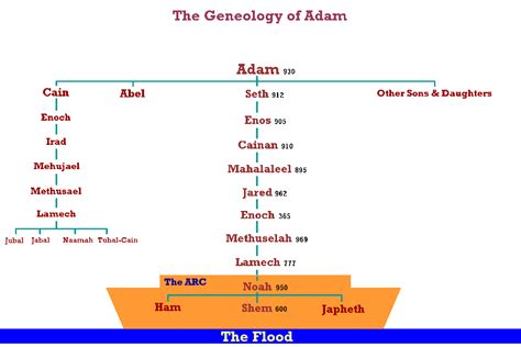 Echoes Of Eden Genealogical Developments Of The Lines Of Cain And Seth