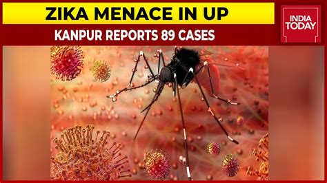 Zika Menace In Up 89 Cases Of Zika Virus Reported In Kanpur India