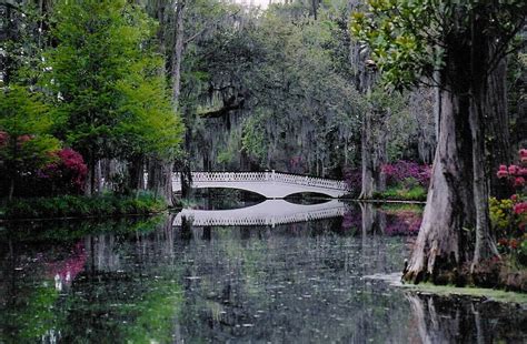 Charleston Photos Magnolia Gardens White Bridge