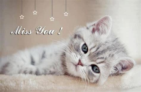 8k uhd tv 16:9 ultra high definition 2160p 1440p 1080p 900p 720p ; Miss You Pictures, Miss You Puppy Image, #22615