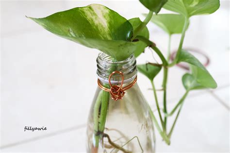 Buang label yang menempel pada botol bekas. DIY : Membuat Pot Tanaman Gantung dari Botol Bekas ...