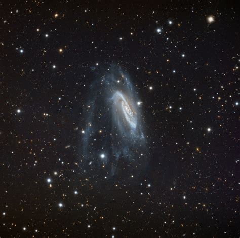 Ngc 3981 Galaxie Spirale Telescope Live