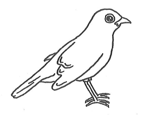 Blackbird Plane Pages Coloring Pages