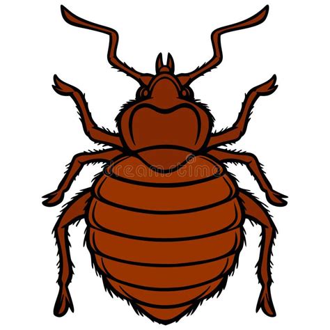 Bed Bug Graphic Stock Illustrations 496 Bed Bug Graphic Stock Illustrations Vectors And Clipart