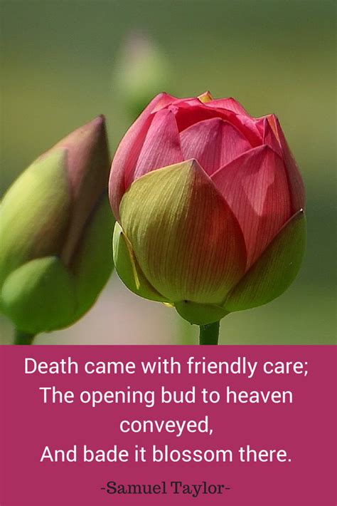 Maybe you would like to learn more about one of these? 16 Inspirational Death Quotes for Nurses - NurseBuff