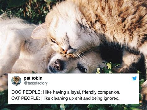 Dog People Vs Cat People Others