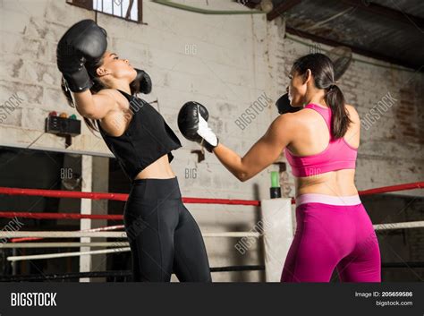 Boxer Knocking Out Her Image And Photo Free Trial Bigstock