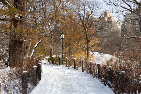 Beautiful Empty Winter Trail At Central Park Covered With Snow In New