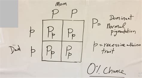 How To Predict Phenotype Using Punnett Square Food Science Toolbox