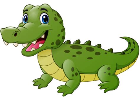 Cartoon Of Cute Alligator Illustrations Royalty Free Vector Graphics