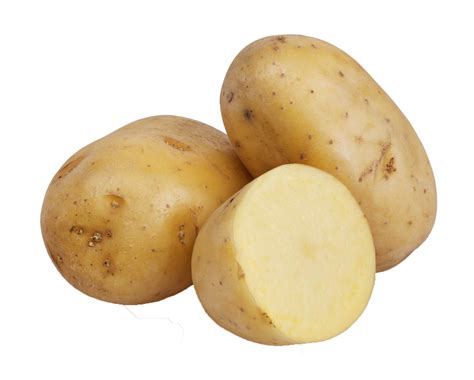 Potato Png All Potato Png Images Are Displayed Below Available In 100