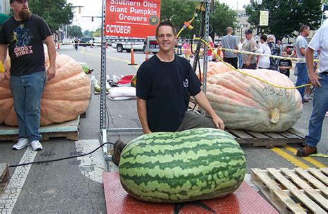 national watermelon day five records to celebrate the juicy fruit guinness world records