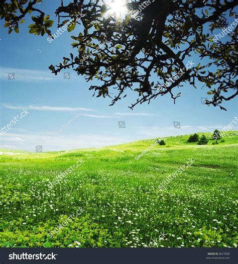 Natural Background Stock Photo 8627008 Shutterstock