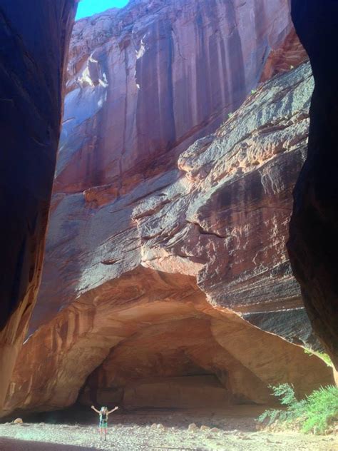 Overview of buckskin gulch trailhead. Hiking Southern Utah: Buckskin Gulch - The Independent | News Events Opinion More