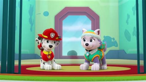 Marshall And Everest Paw Patrol Animated Couples Photo 40131002
