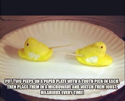The Only Thing Peeps Are Good For Carrie Timmy Time Funny Quotes