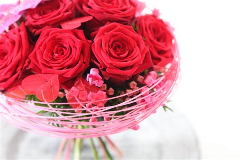 Expressing Valentine Love With Top Quality Porta Nova Red Naomi Roses