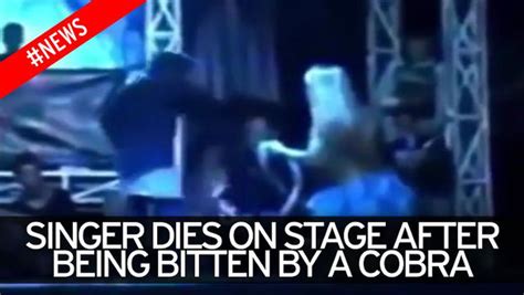 Tragic Singer Bitten By Cobra On Stage Keeps Singing For 45 Minutes