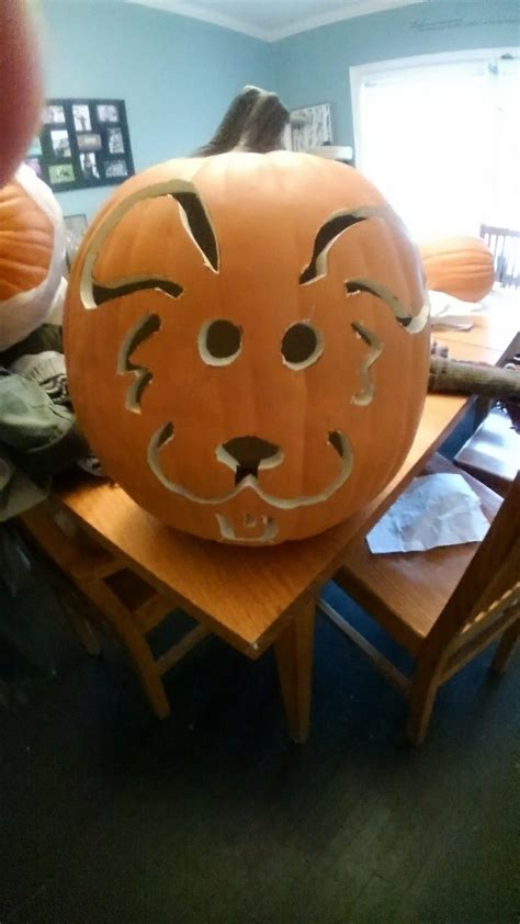 Funny Dog Pumpkin Carving Funny Dogs Carving
