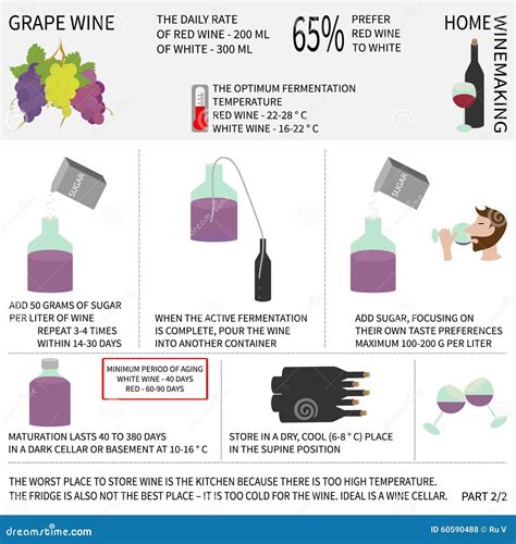 Home Wine Making Wine From Grapes Infographics Stock Illustration