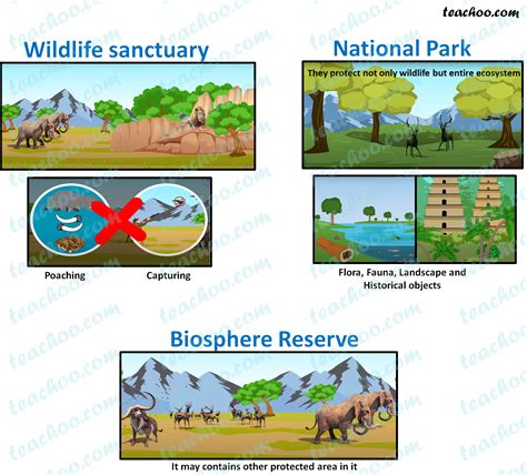 Wildlife Sanctuary National Parks Biosphere Reserve Teachoo