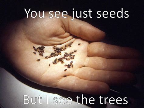 Inspirational Quotes About Seeds Quotesgram