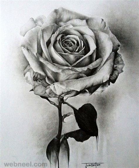 High quality art prints by independent artists and designers from around the world. 25 Beautiful Rose Drawings and Paintings for your ...