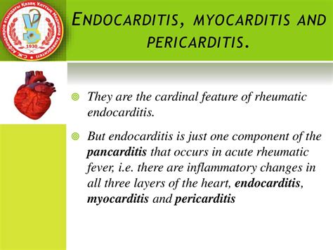 Treatment for myocarditis depends on the cause. Rheumatic Endocarditis - презентация онлайн