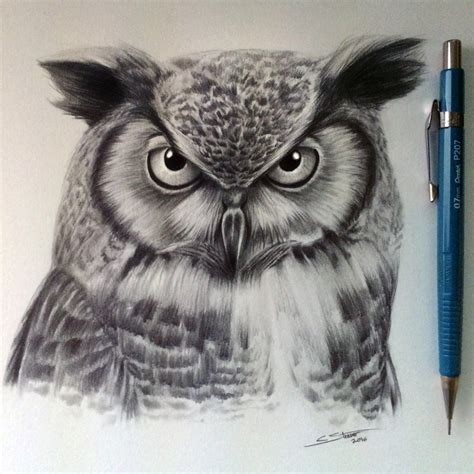 Owl Head Drawing At Getdrawings Free Download