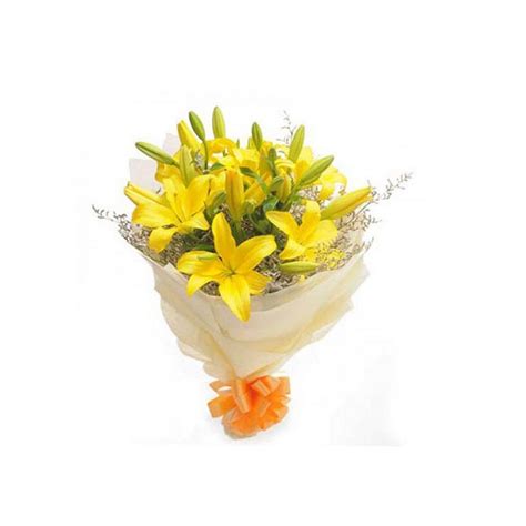 We did not find results for: Flower Delivery in Bangalore | Send Flowers to Bangalore ...