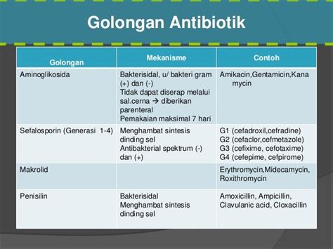Antibiotik Untuk Infeksi Saluran Kencing Info Kesehatan