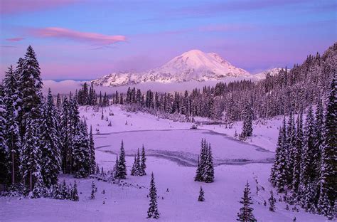 Mount Rainier Winter Photograph By Lynn Hopwood