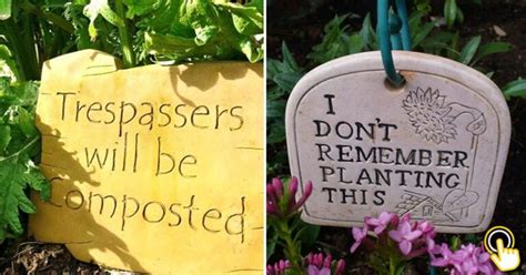 These 25 Garden Signs Are So Funny And Creative Bouncy Mustard
