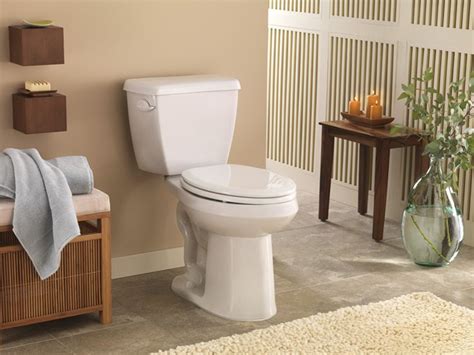 Best Highhigher Toilets For The Elderly And Seniors Remodel Bedroom